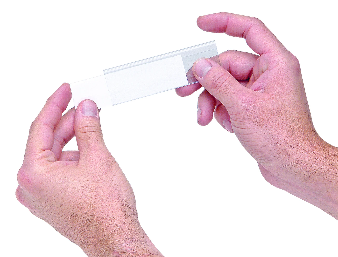 Quantum LTR-0813 Clear Label Holders, Pack of 25