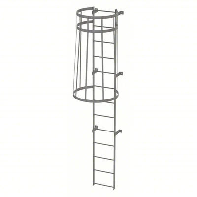 Tri-Arc 13-Step Fixed Ladder, 12 ft, with safety cage