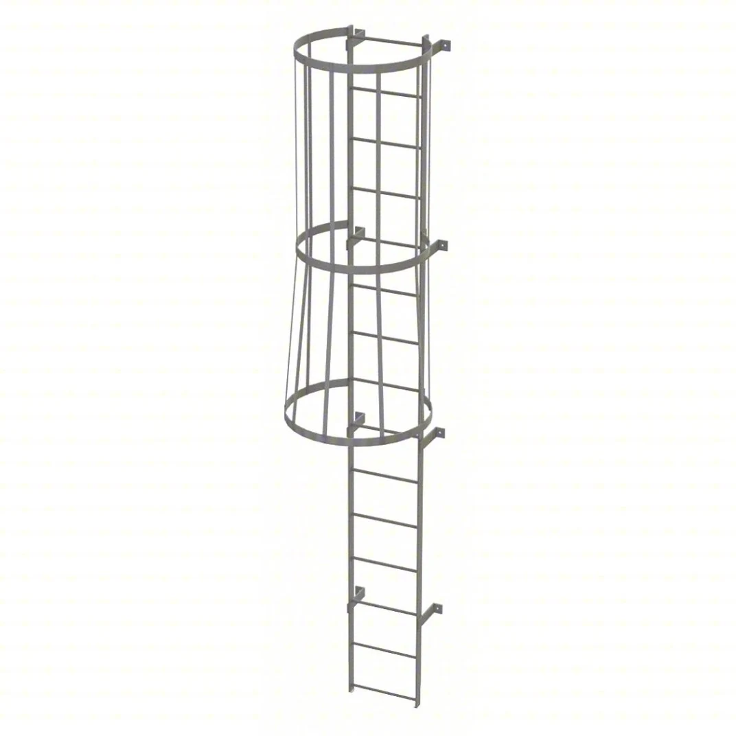 Tri-Arc 15-Step Fixed Ladder, 14 ft, with safety cage