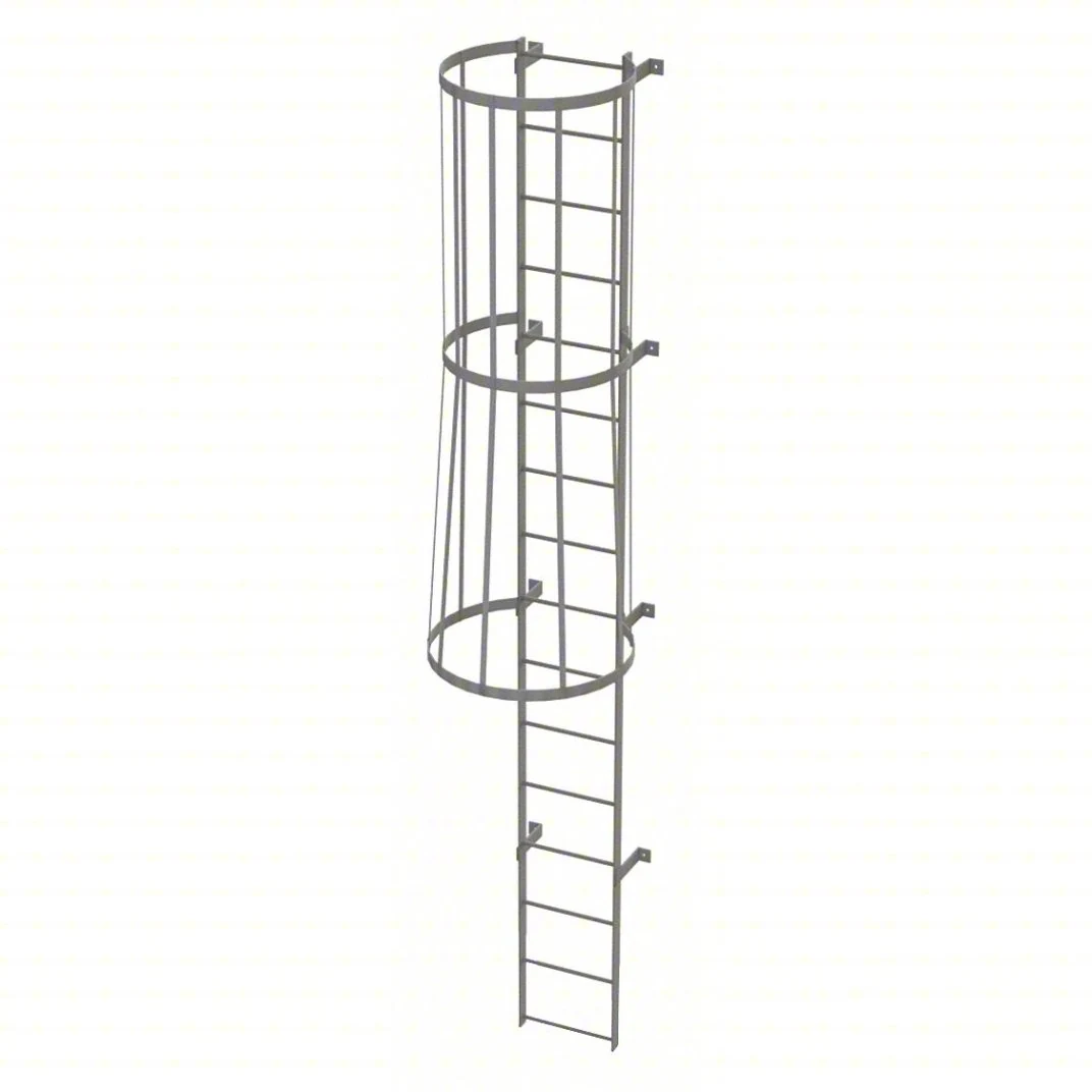 Tri-Arc 16-Step Fixed Ladder, 15 ft, with safety cage