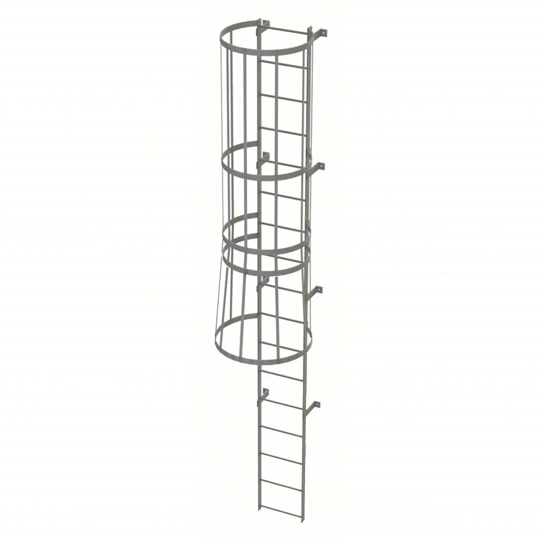 Tri-Arc 17-Step Fixed Ladder, 16 ft, with safety cage