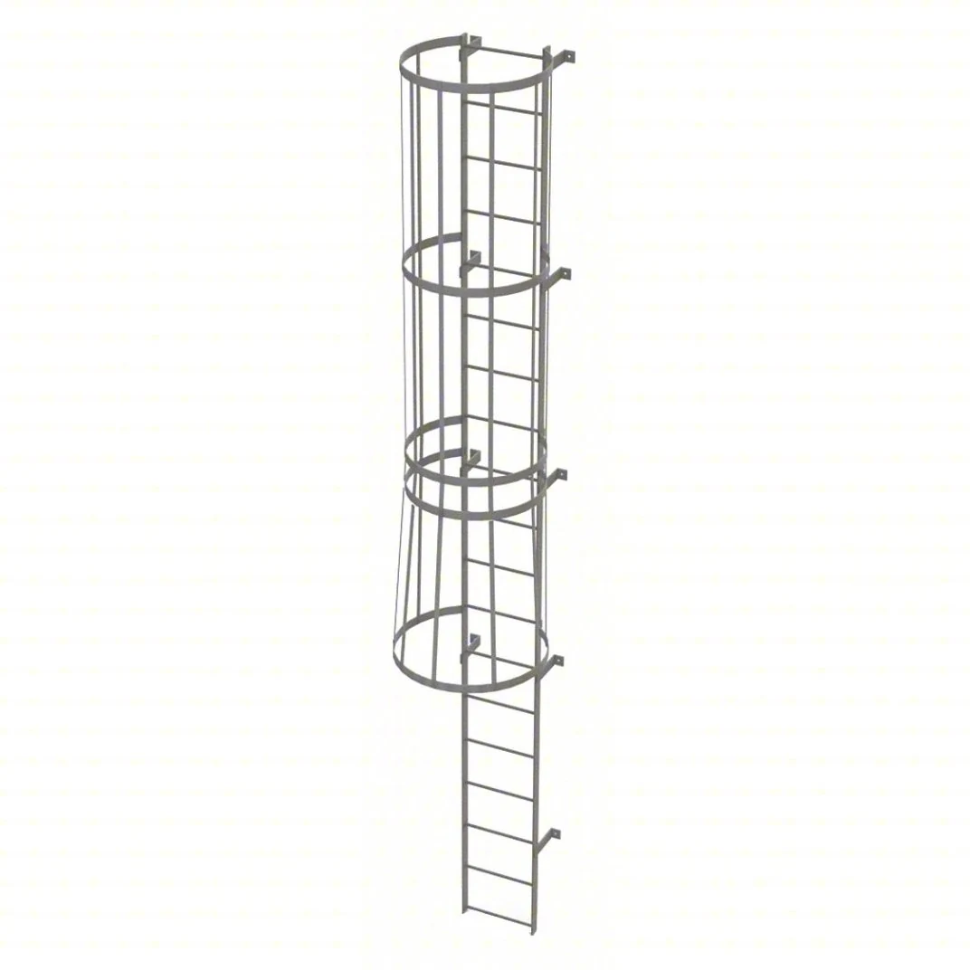 Tri-Arc 19-Step Fixed Ladder, 18 ft, with safety cage