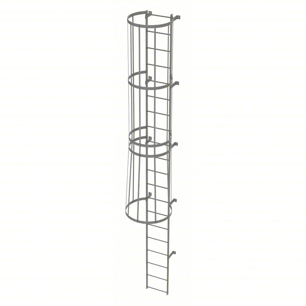 Tri-Arc 20-Step Fixed Ladder, 19 ft, with safety cage