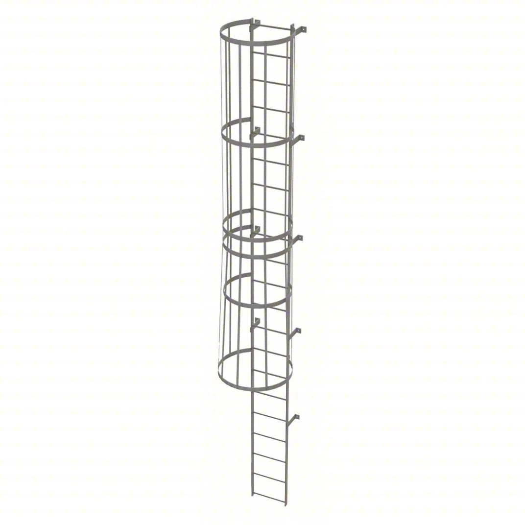Tri-Arc 21-Step Fixed Ladder, 20 ft, with safety cage