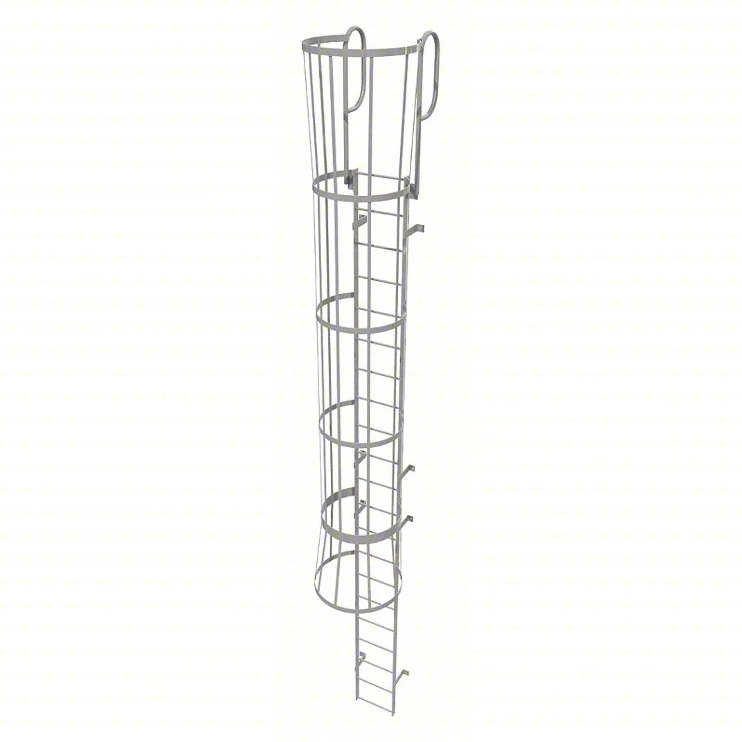 Tri-Arc 21-Step Fixed Ladder, 24 ft, with safety cage