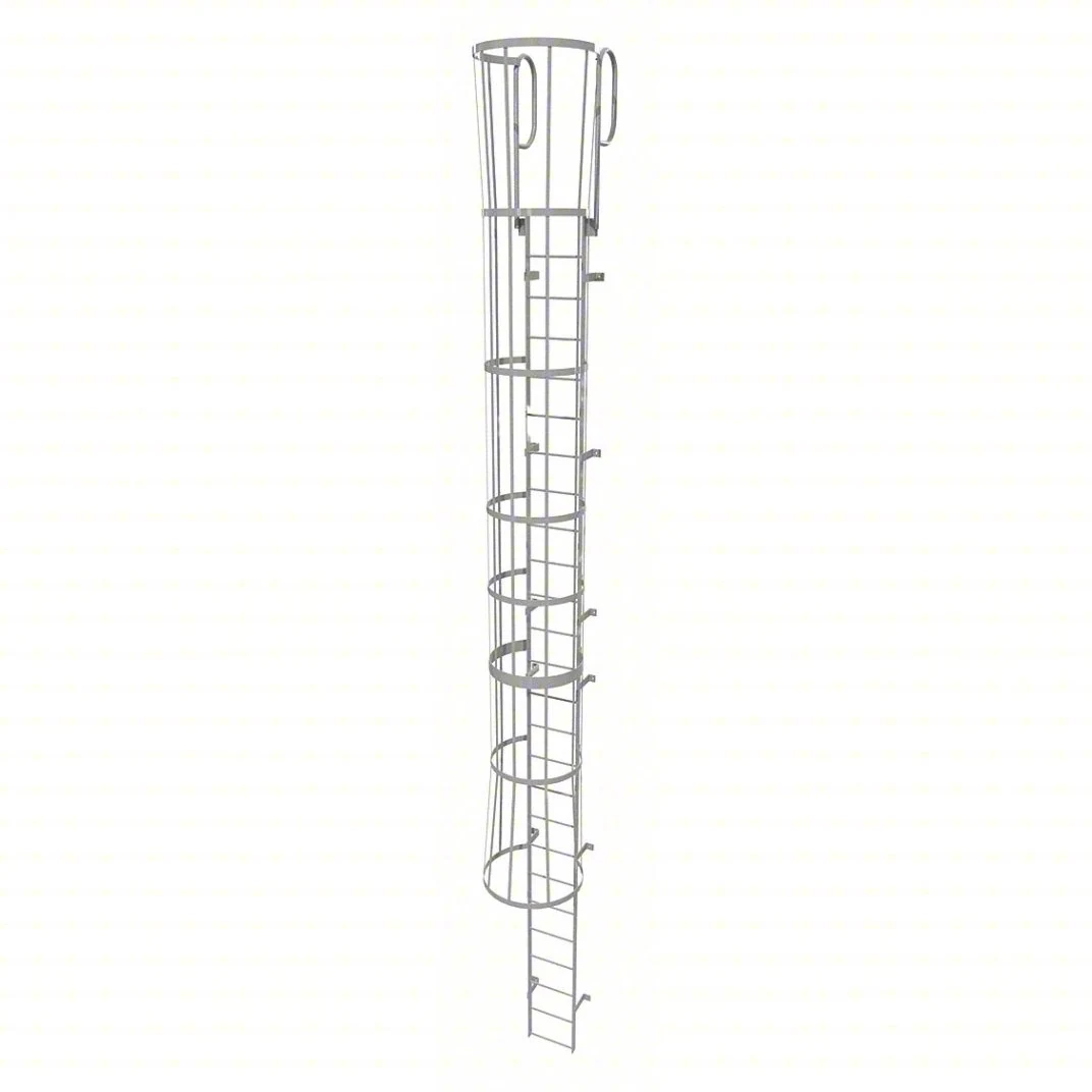 Tri-Arc 26-Step Fixed Ladder, 29 ft, with safety cage