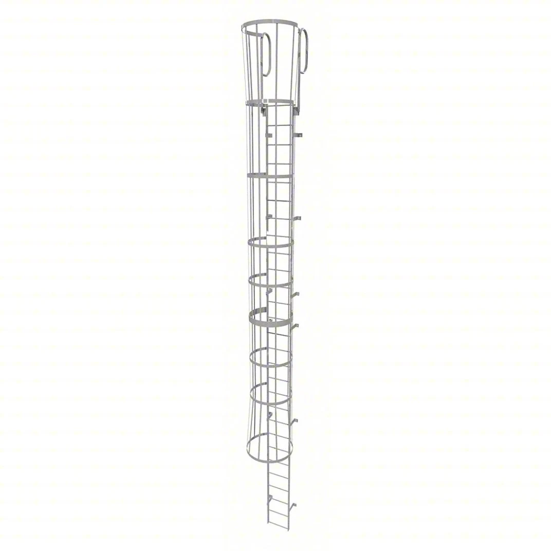 Tri-Arc 28-Step Fixed Ladder, 31 ft, with safety cage